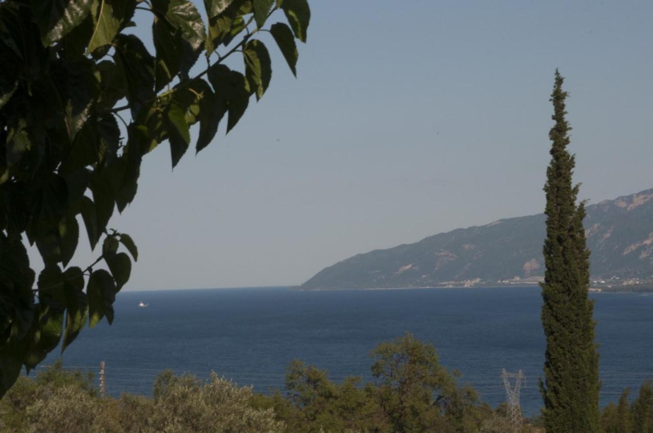Villa Anna نافبكْتوس المظهر الخارجي الصورة
