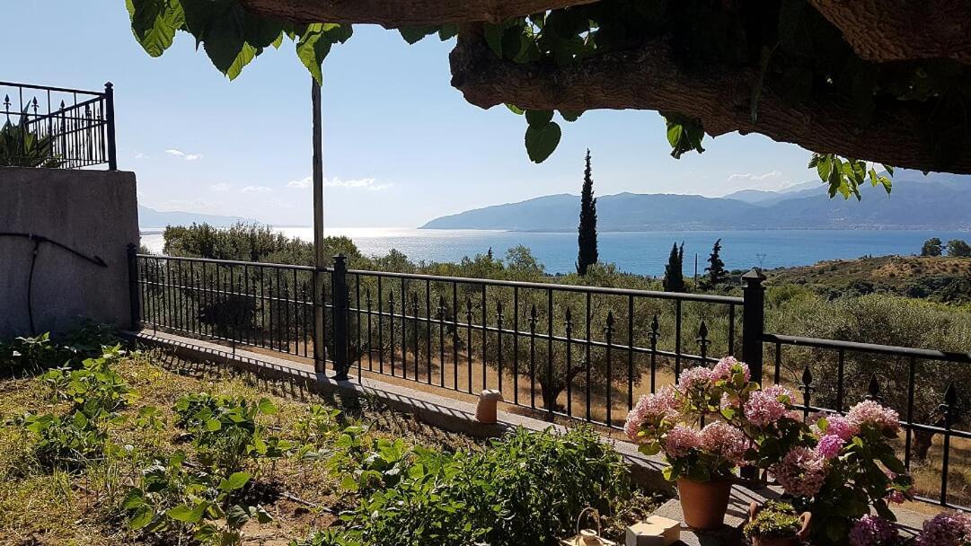 Villa Anna نافبكْتوس المظهر الخارجي الصورة