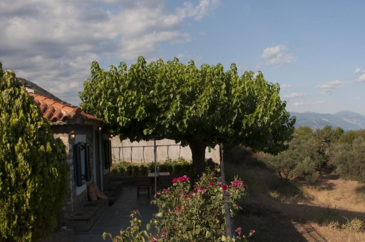 Villa Anna نافبكْتوس المظهر الخارجي الصورة